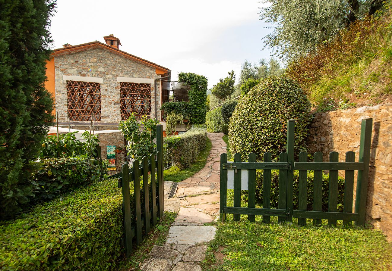 Appartamento a Borgo a Mozzano - Casetta di Butia, Glicine apartment with pool