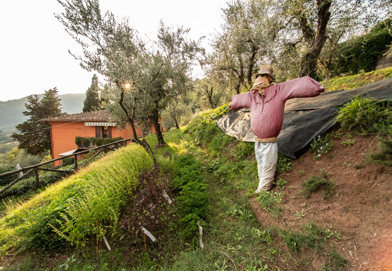 Appartamento a Borgo a Mozzano - Casetta di Butia, Glicine apartment with pool