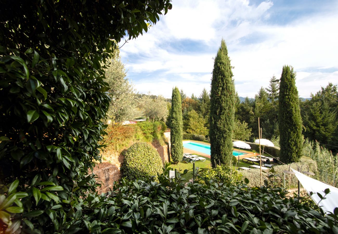 Appartamento a Borgo a Mozzano - Casetta di Butia, Glicine apartment with pool