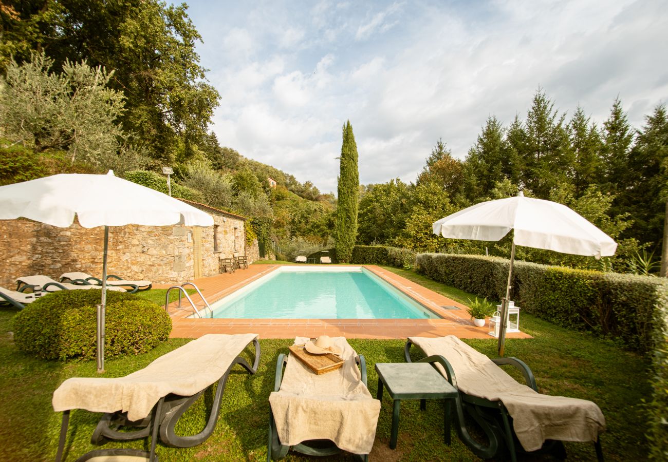 Appartamento a Borgo a Mozzano - Casetta di Butia, Mimosa apartment with pool