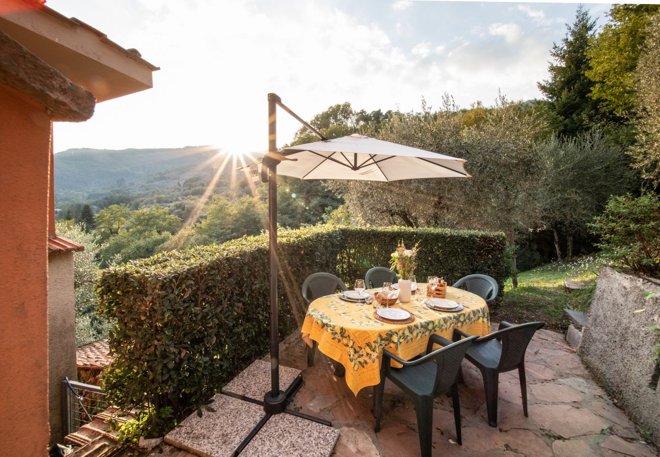 Appartamento a Borgo a Mozzano - Casetta di Butia, Mimosa apartment with pool