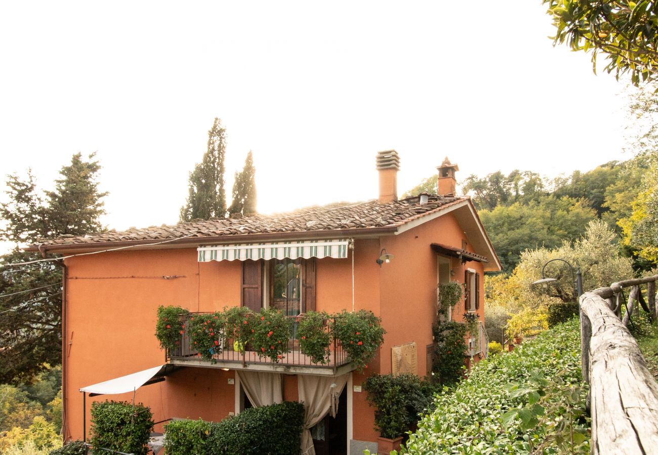 Appartamento a Borgo a Mozzano - Casetta di Butia, Mimosa apartment with pool