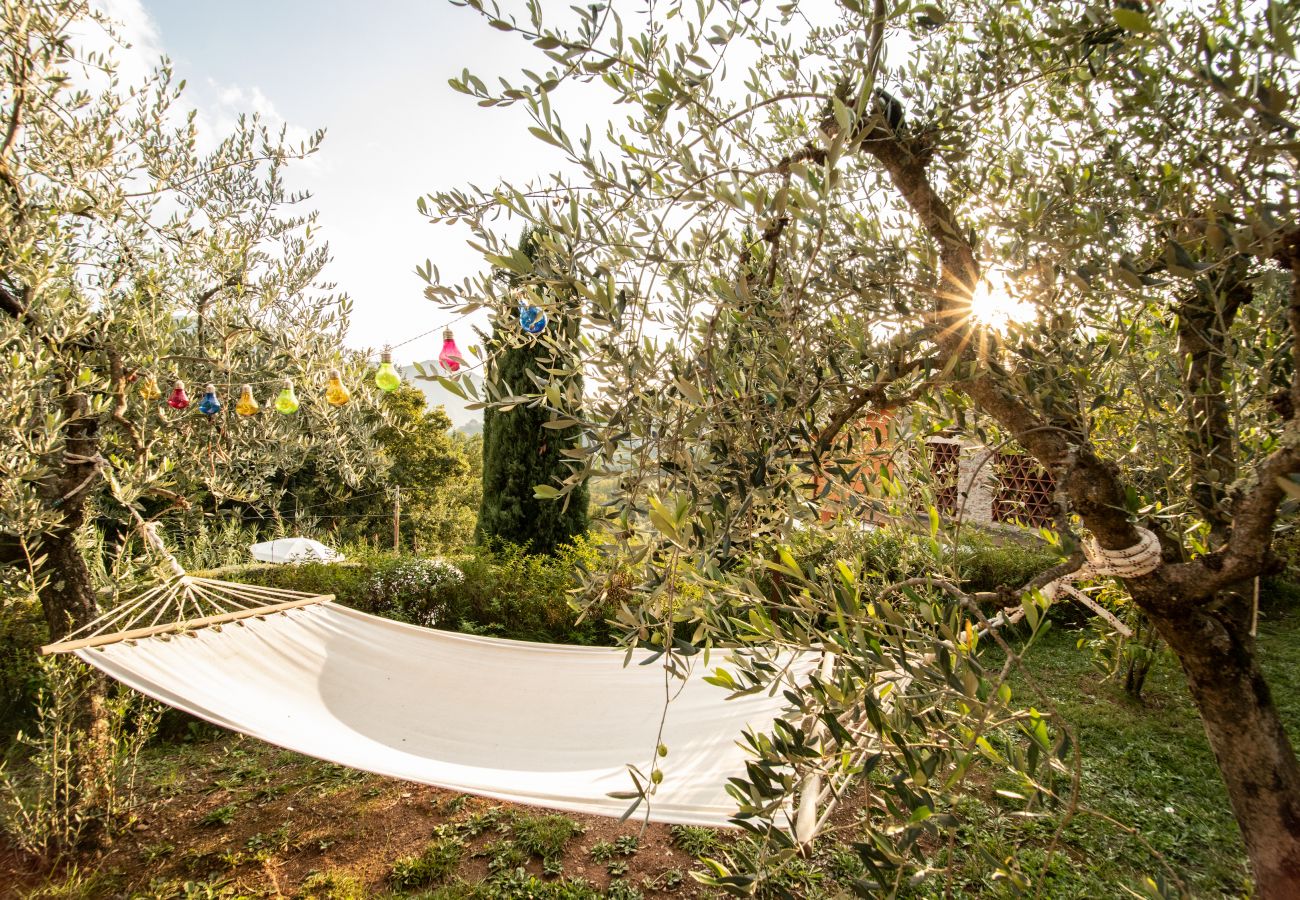 Appartamento a Borgo a Mozzano - Casetta di Butia, Mimosa apartment with pool