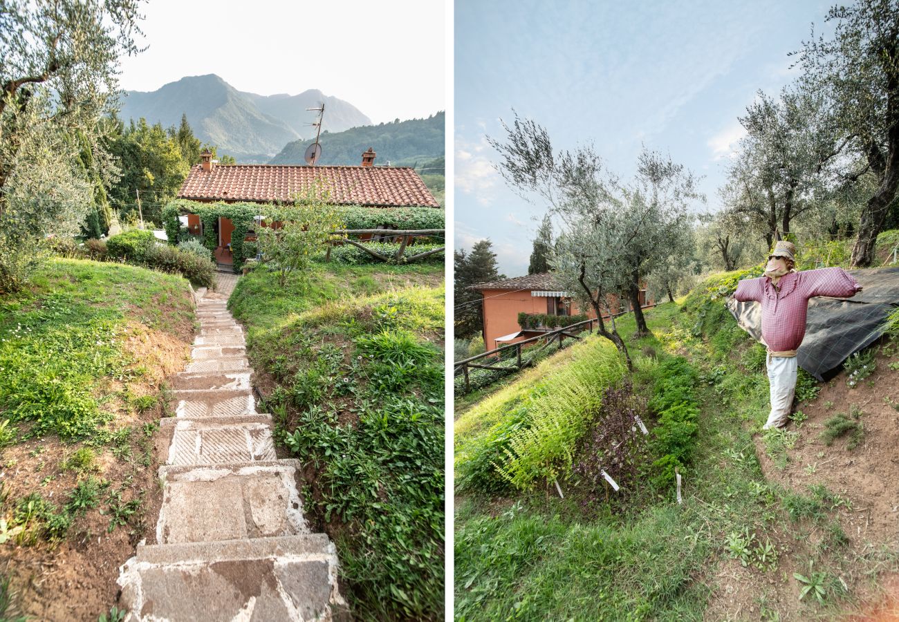 Appartamento a Borgo a Mozzano - Casetta di Butia, Mimosa apartment with pool