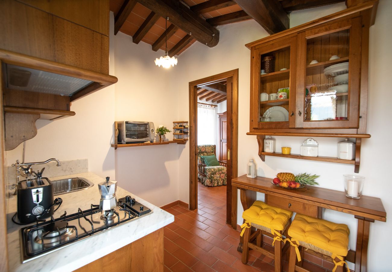 Appartamento a Borgo a Mozzano - Casetta di Butia, Ginestra apartment with pool