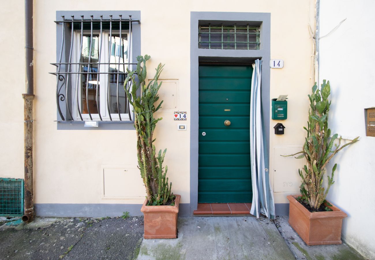 Appartamento a Lucca - I Cactus Apartment in Center Town