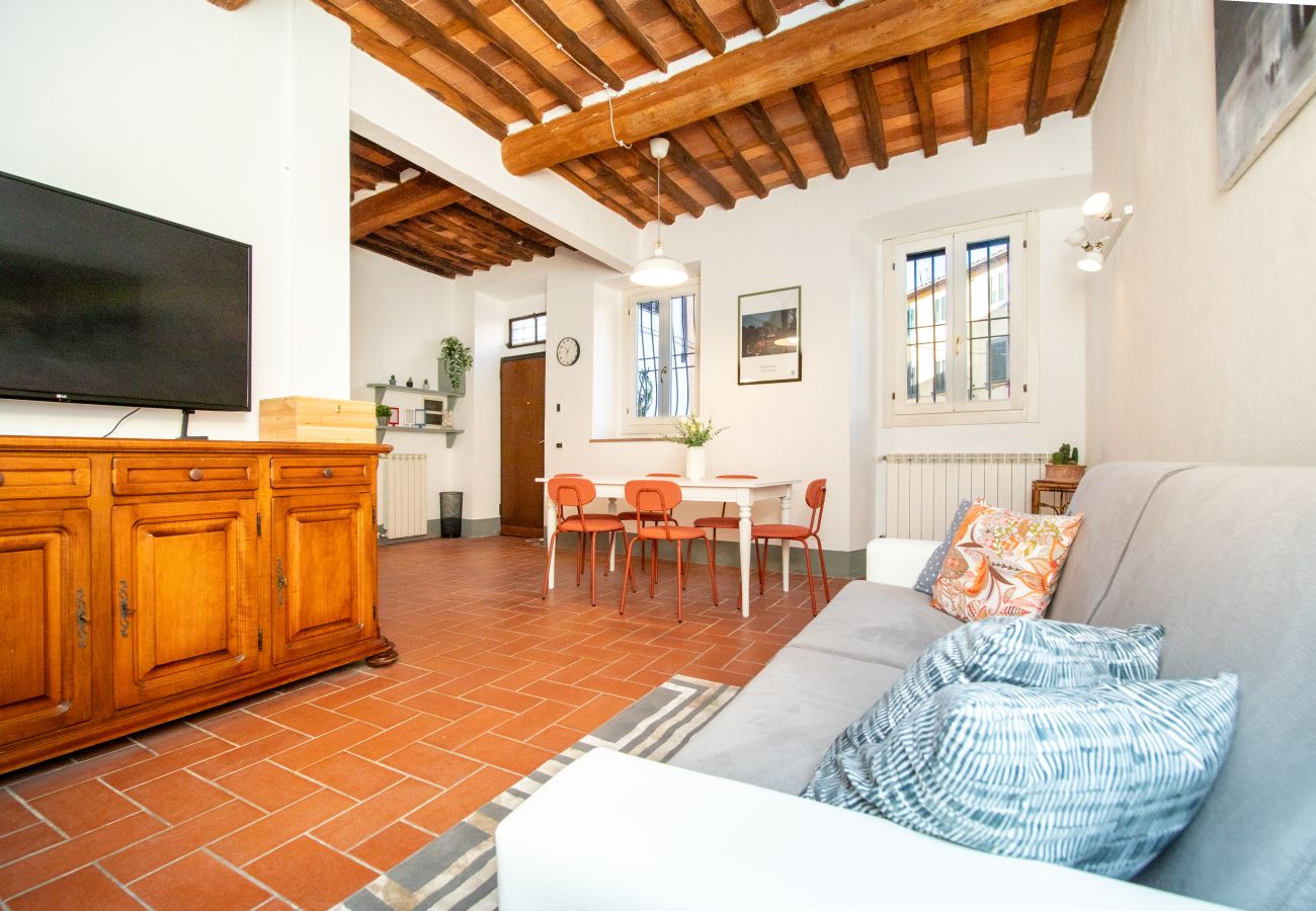 Appartamento a Lucca - I Cactus Apartment in Center Town