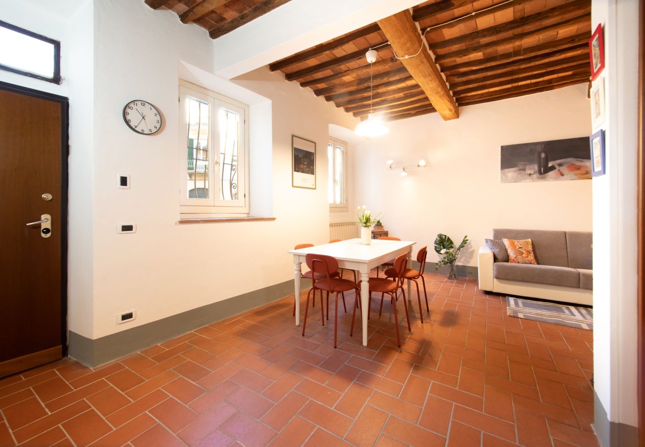 Appartamento a Lucca - I Cactus Apartment in Center Town