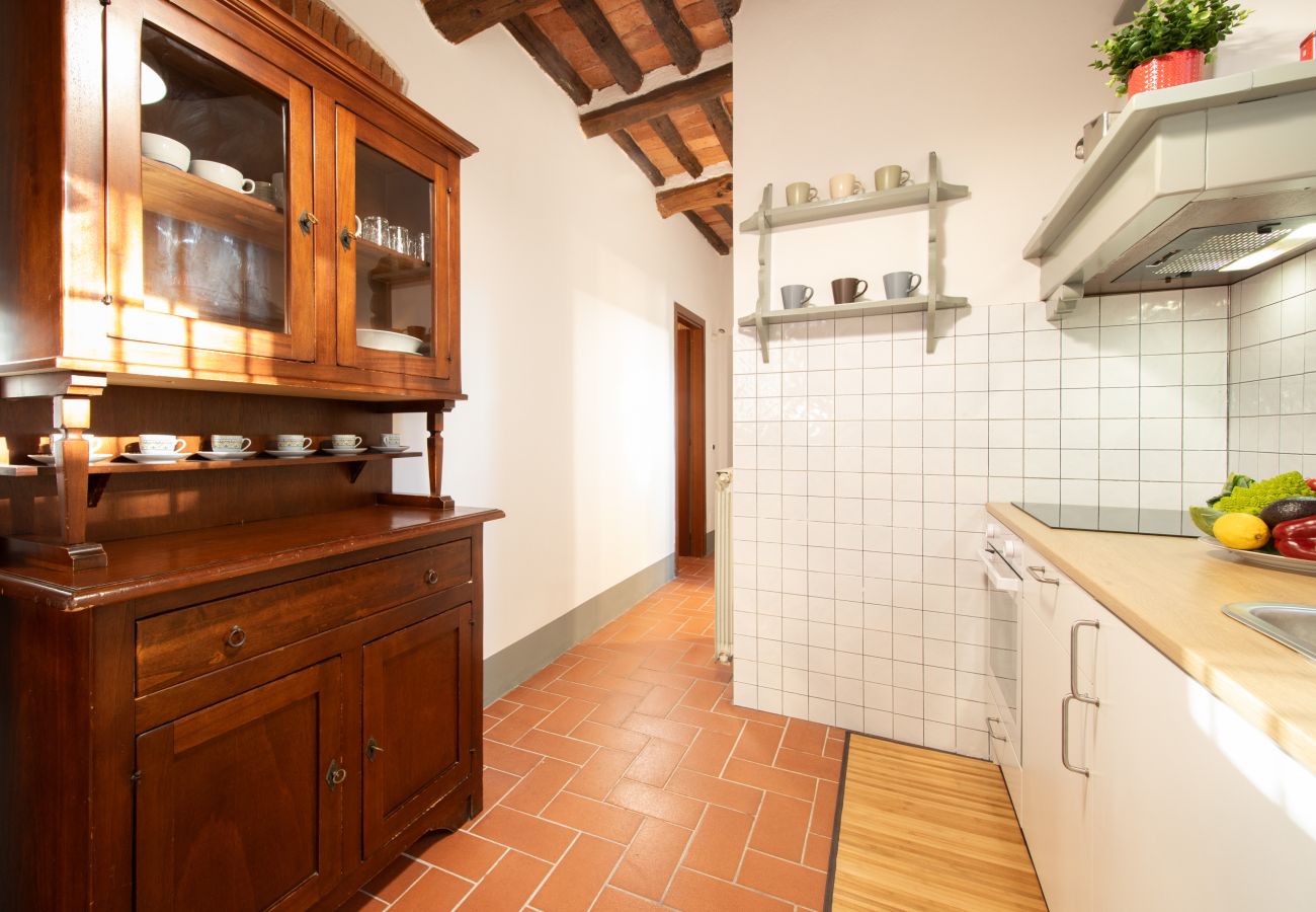 Appartamento a Lucca - I Cactus Apartment in Center Town