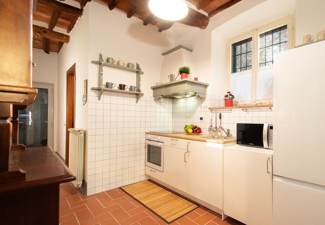 Appartamento a Lucca - I Cactus Apartment in Center Town