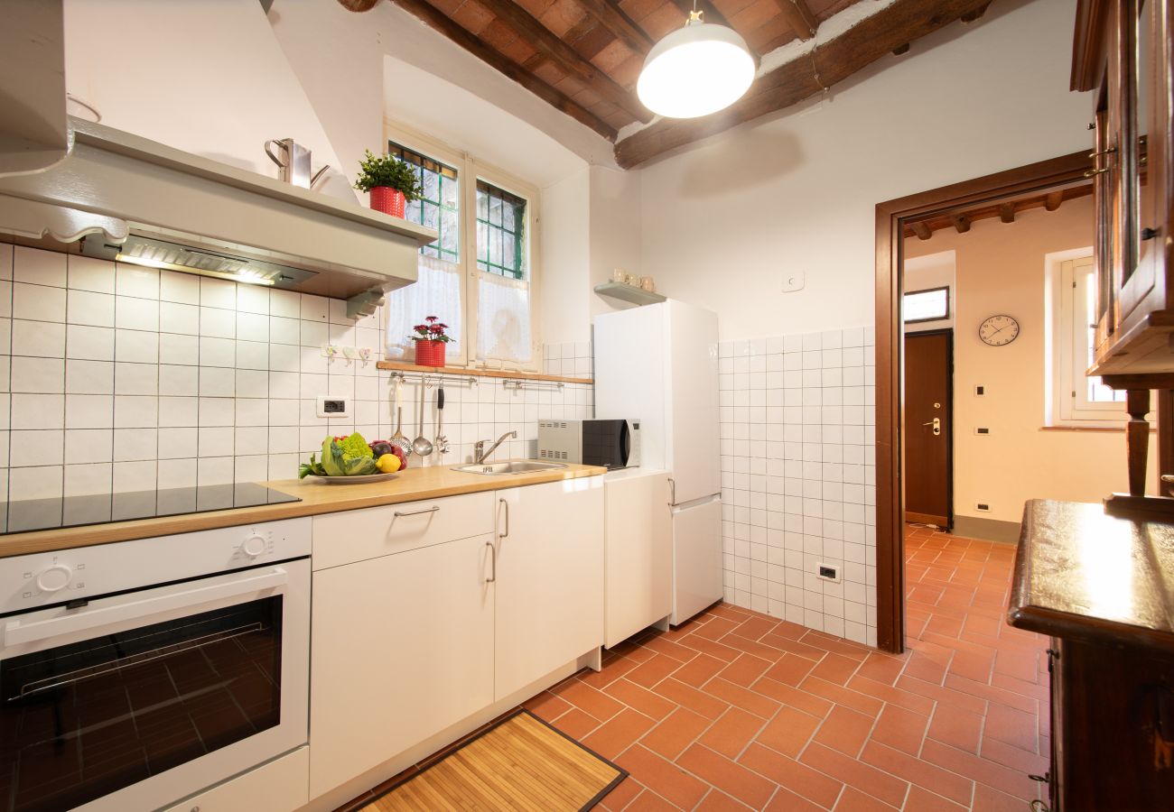 Appartamento a Lucca - I Cactus Apartment in Center Town