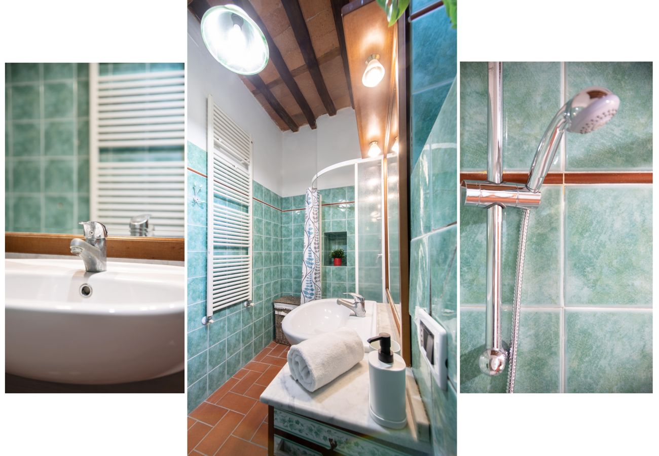 Appartamento a Lucca - I Cactus Apartment in Center Town