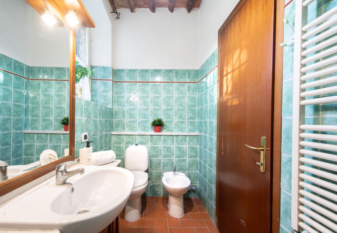 Appartamento a Lucca - I Cactus Apartment in Center Town