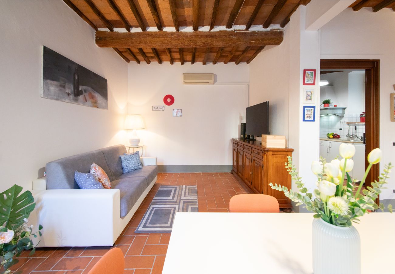 Appartamento a Lucca - I Cactus Apartment in Center Town