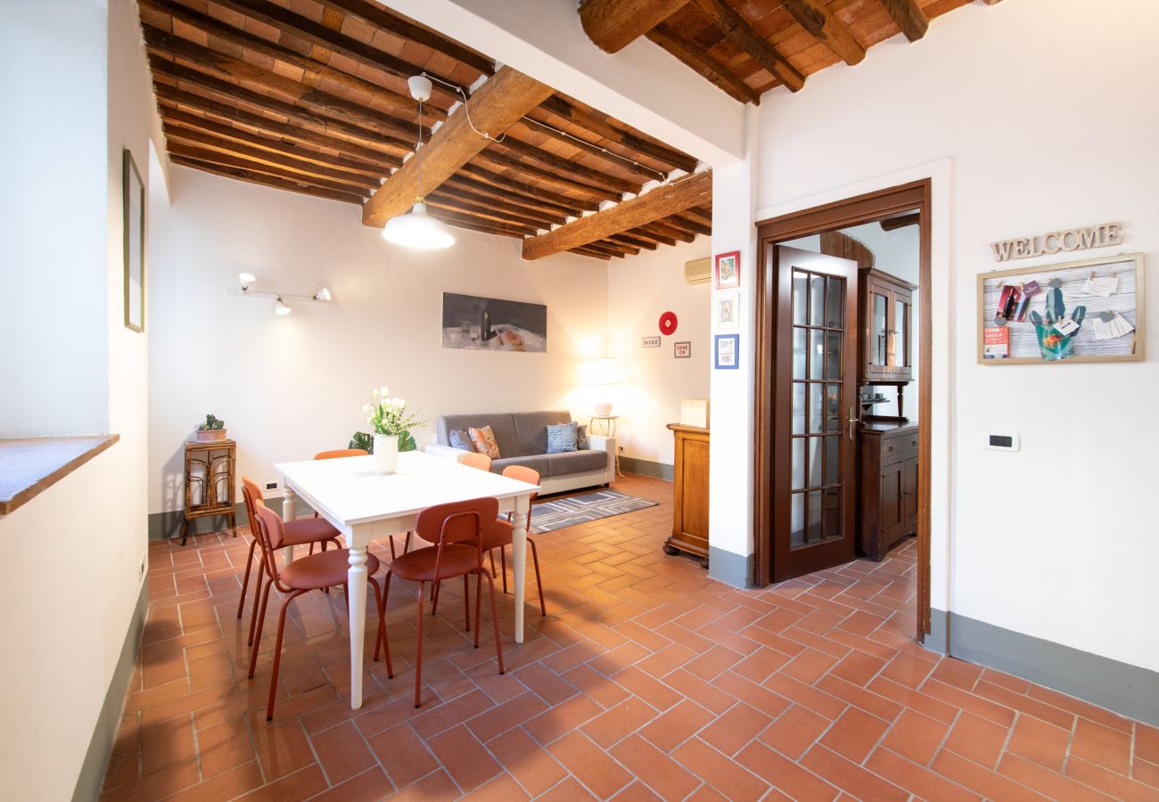 Appartamento a Lucca - I Cactus Apartment in Center Town