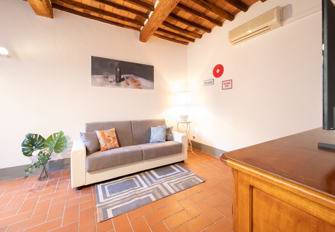 Appartamento a Lucca - I Cactus Apartment in Center Town