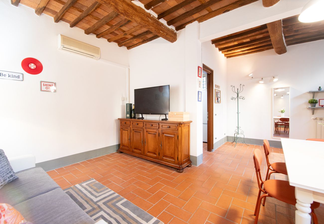 Appartamento a Lucca - I Cactus Apartment in Center Town