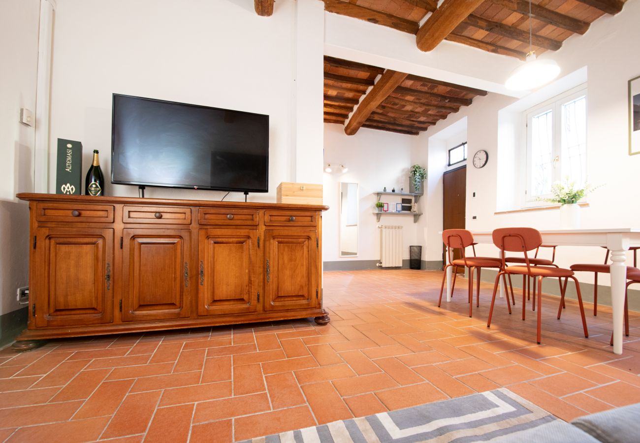 Appartamento a Lucca - I Cactus Apartment in Center Town