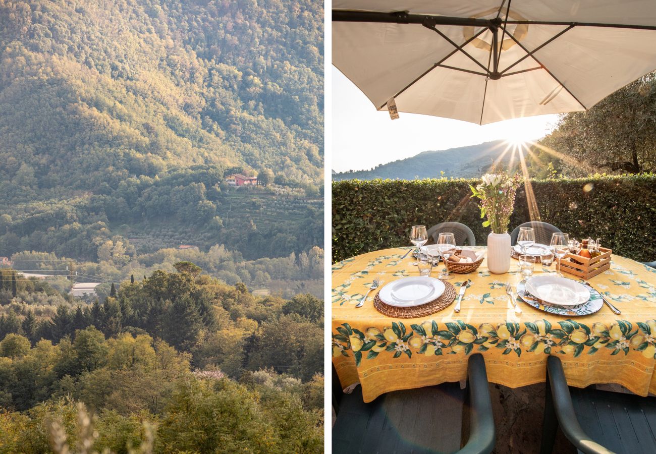 Ferienwohnung in Borgo a Mozzano - Casetta di Butia, Mimosa apartment with pool