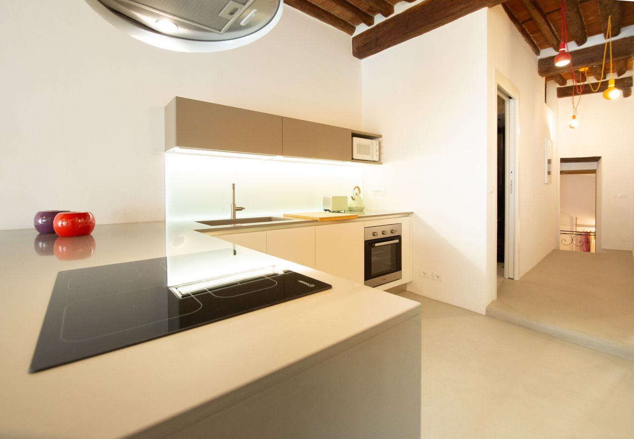 Ferienwohnung in Lucca - La Corticella Luxury Apartment with Terrace