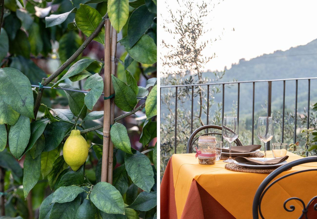 Ferienwohnung in Borgo a Mozzano - Casetta di Butia, Iris apartment with  pool