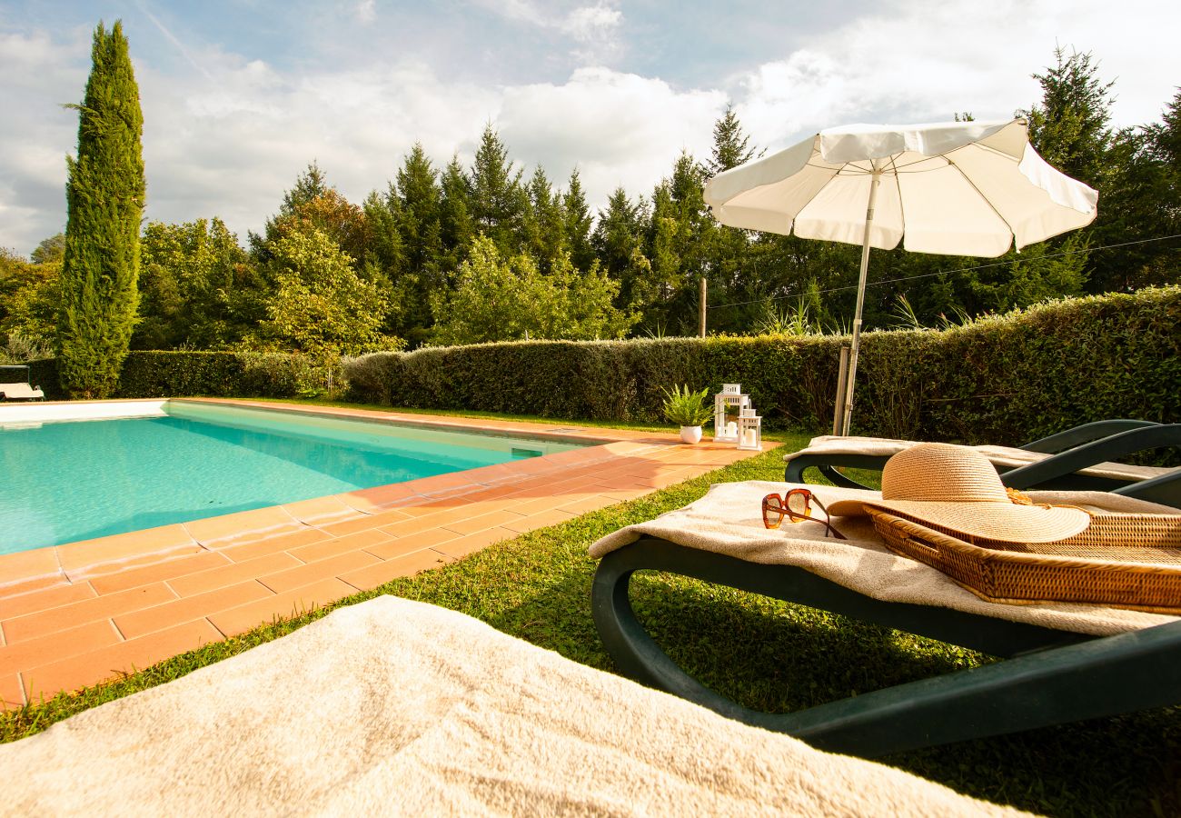 Ferienwohnung in Borgo a Mozzano - Casetta di Butia, Ginestra apartment with pool