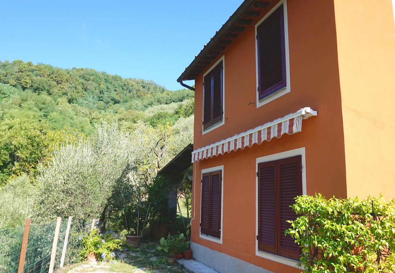 Ferienwohnung in Borgo a Mozzano - Casetta di Butia, Ginestra apartment with pool