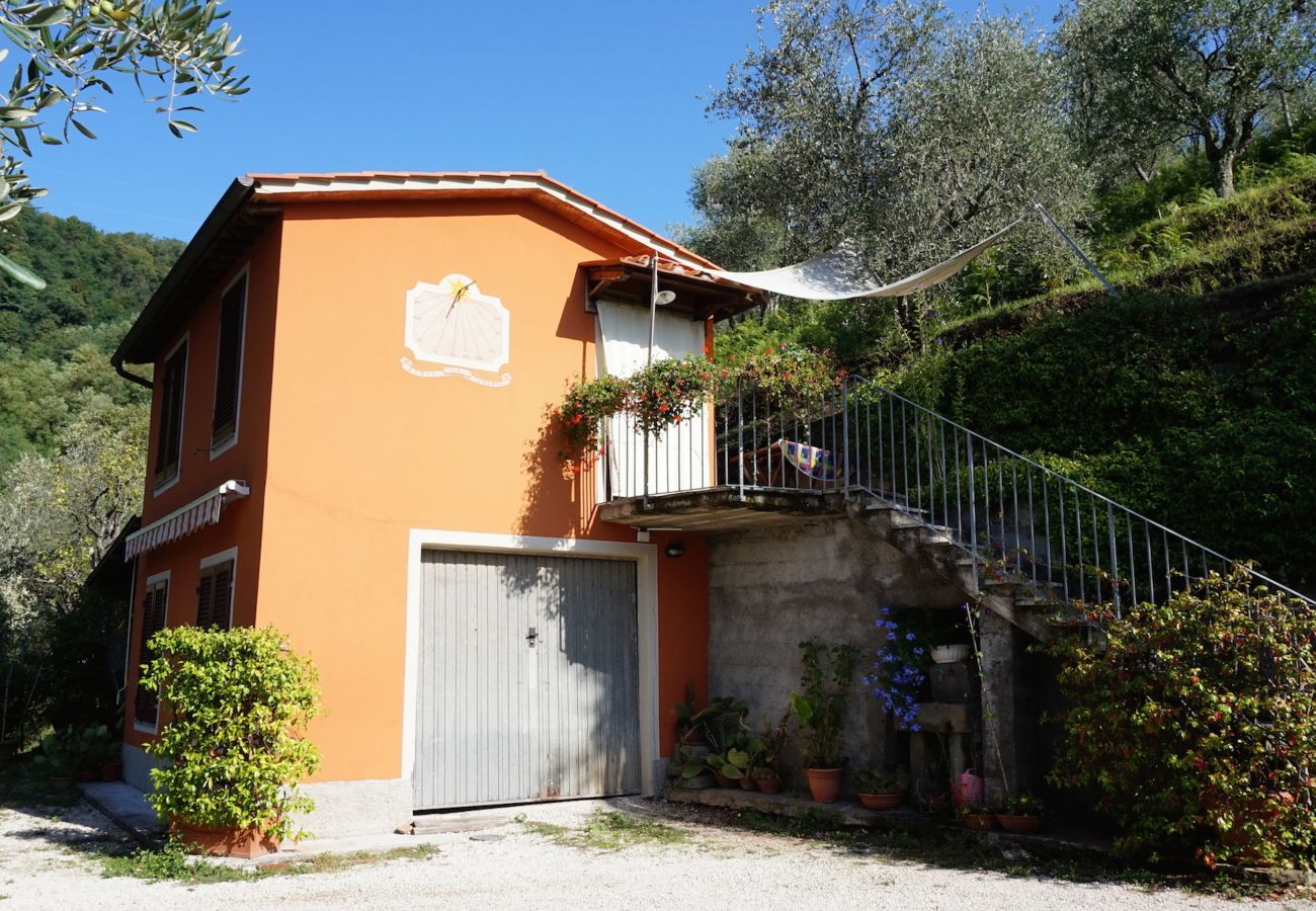 Ferienwohnung in Borgo a Mozzano - Casetta di Butia, Ginestra apartment with pool