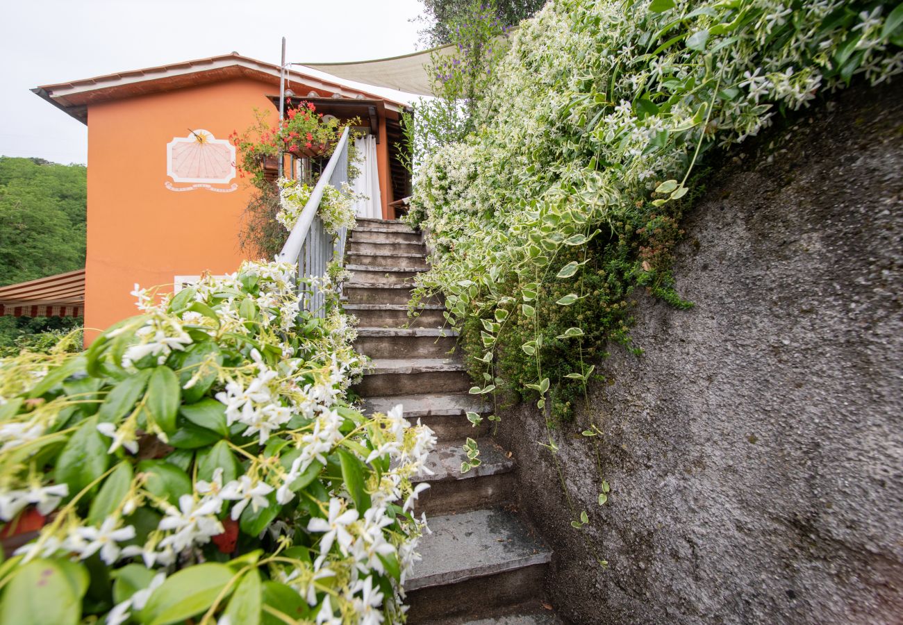 Ferienwohnung in Borgo a Mozzano - Casetta di Butia, Ginestra apartment with pool