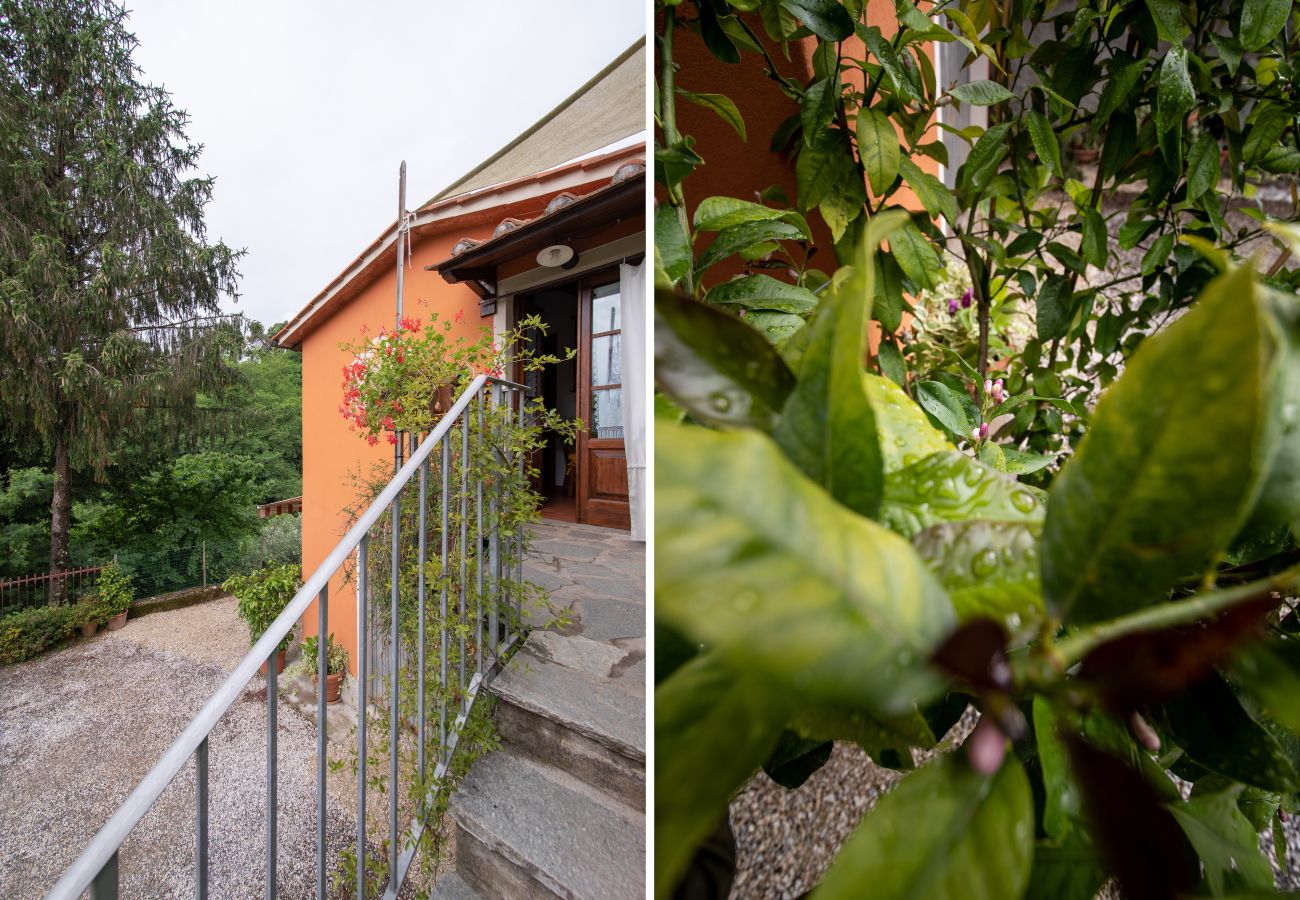 Ferienwohnung in Borgo a Mozzano - Casetta di Butia, Ginestra apartment with pool