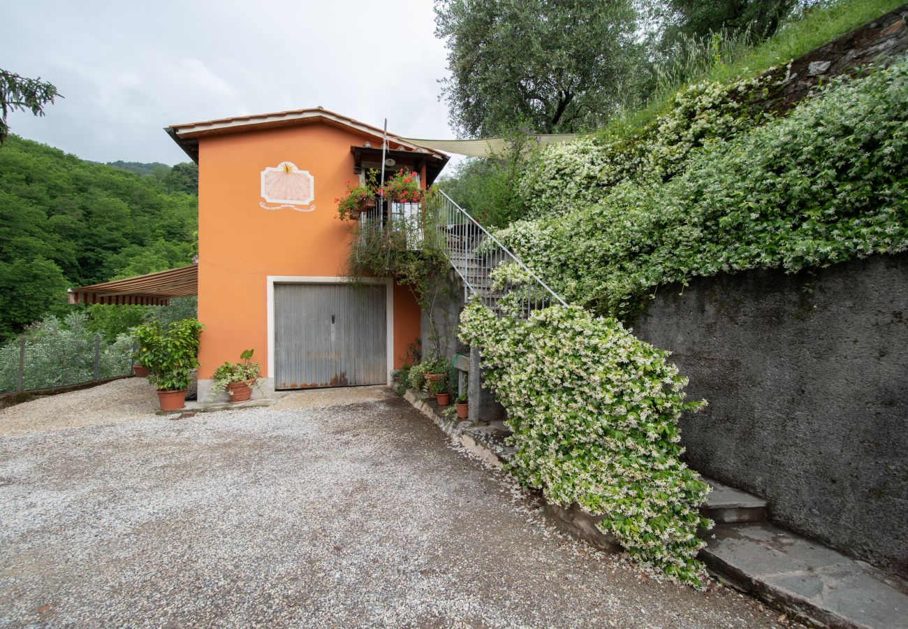 Ferienwohnung in Borgo a Mozzano - Casetta di Butia, Ginestra apartment with pool