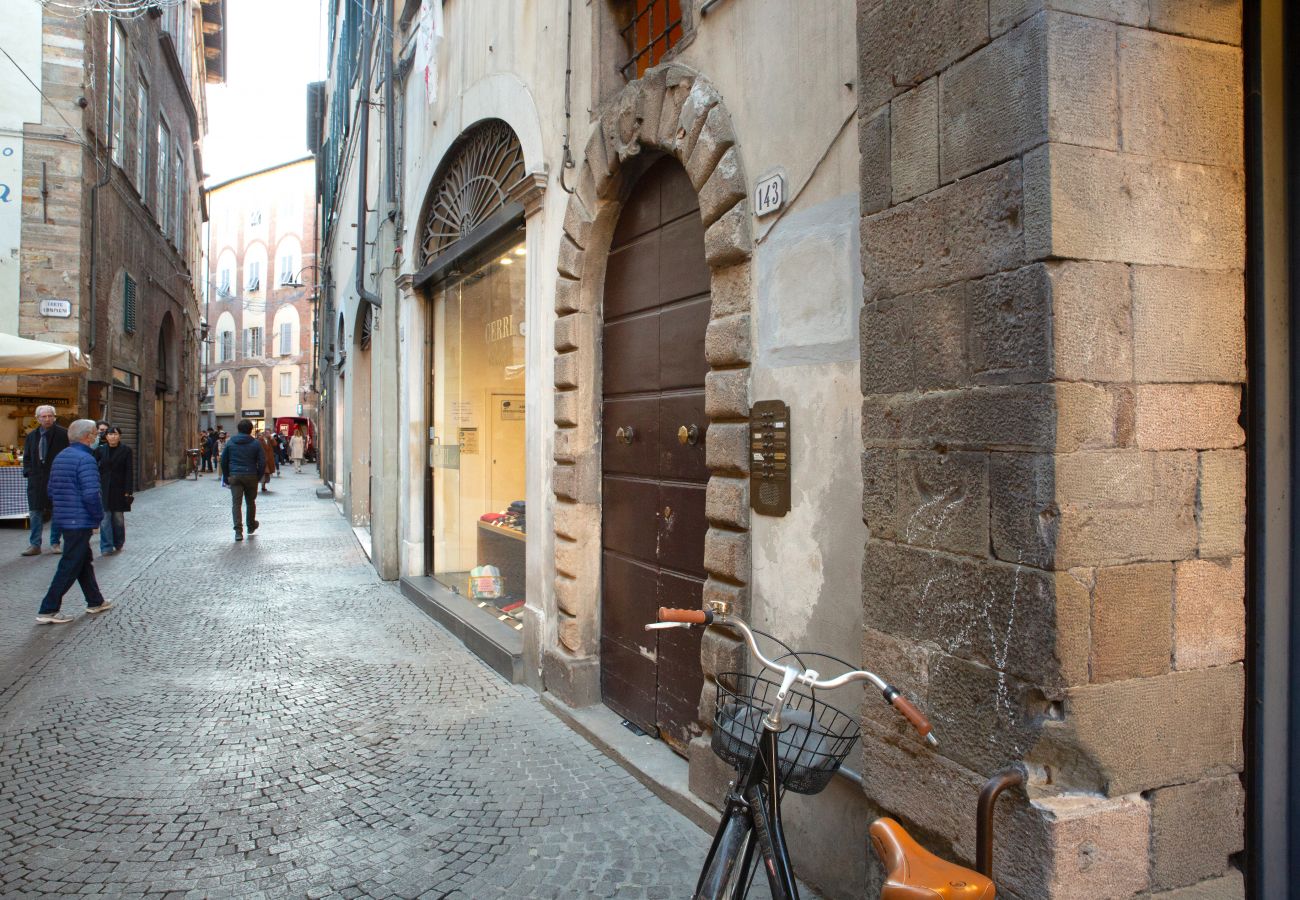 Ferienwohnung in Lucca - Bellavista Apartment, with terrace in center town