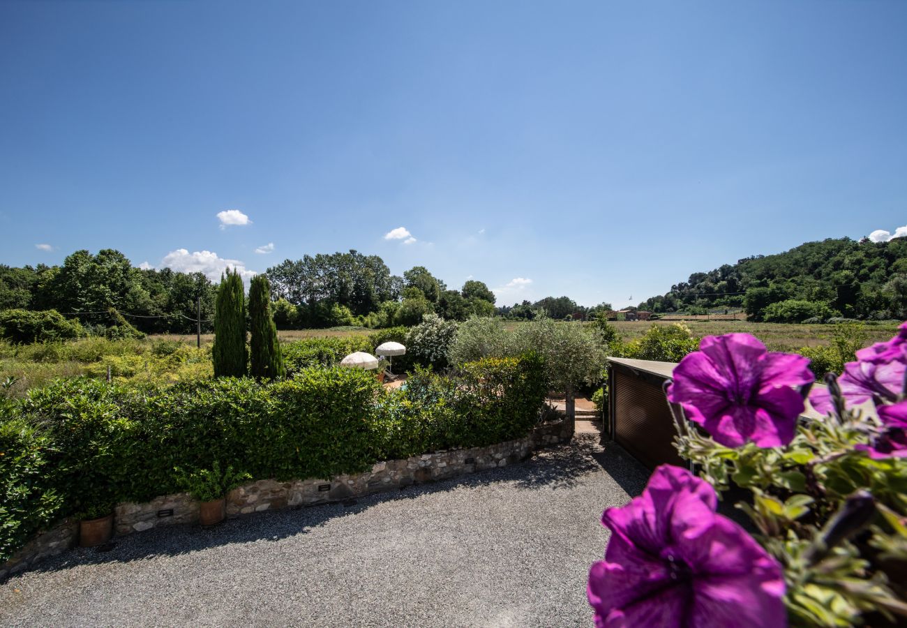 Ferienwohnung in Lucca - La Polla Apartment with Swimming Pool