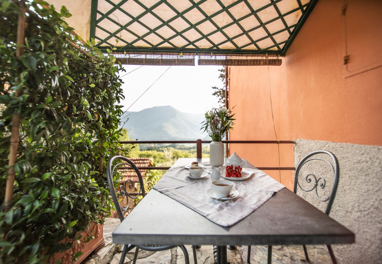 Apartment in Borgo a Mozzano - Casetta di Butia, Iris apartment with  pool