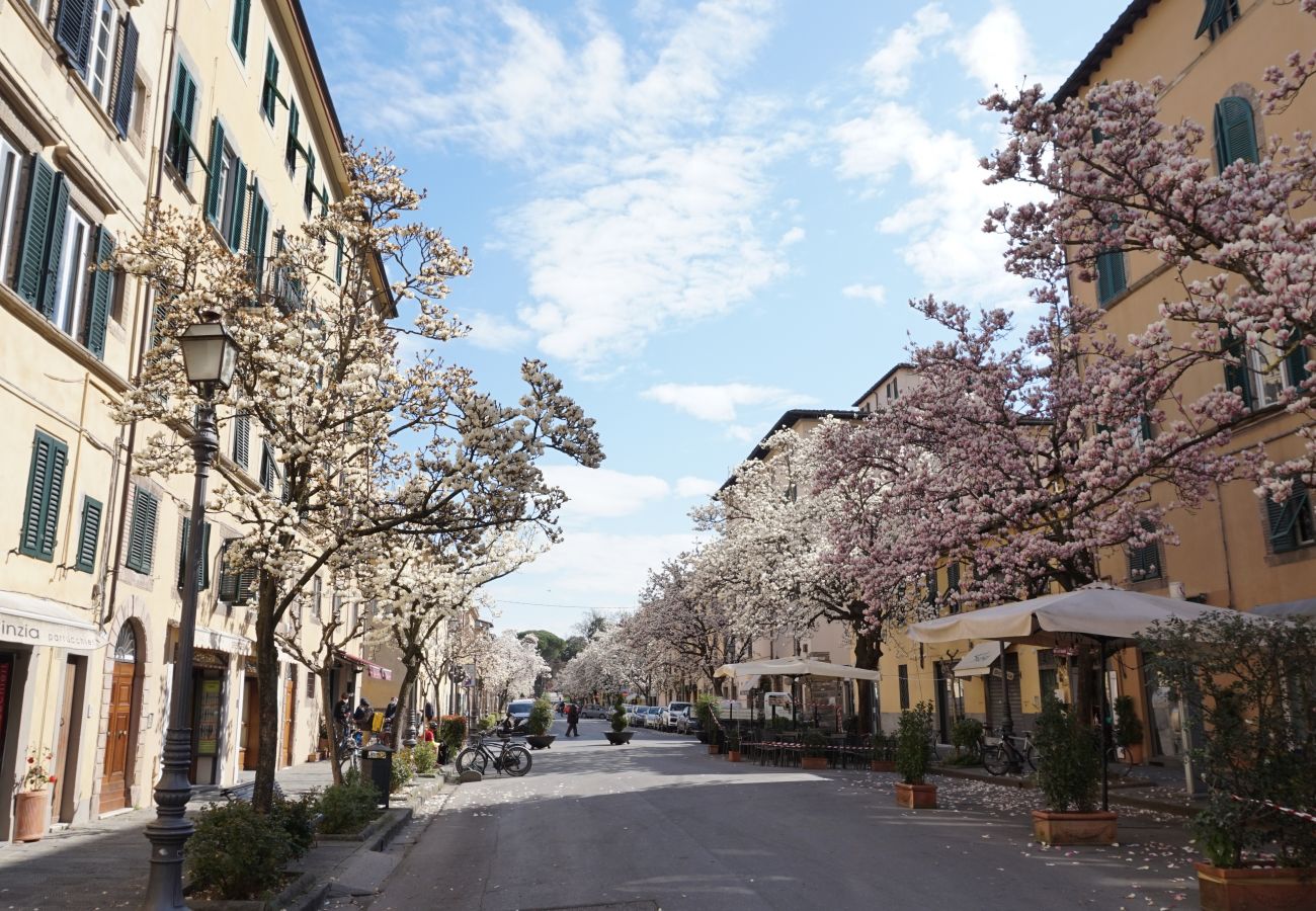 Apartment in Lucca - A Casa di Irene in Center Town