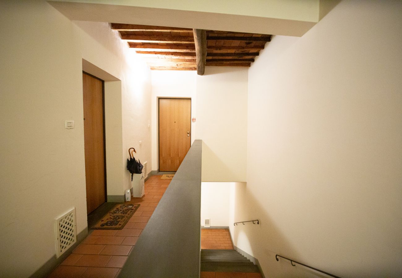 Apartment in Lucca - Serena Apartment Cosy Close Center Town