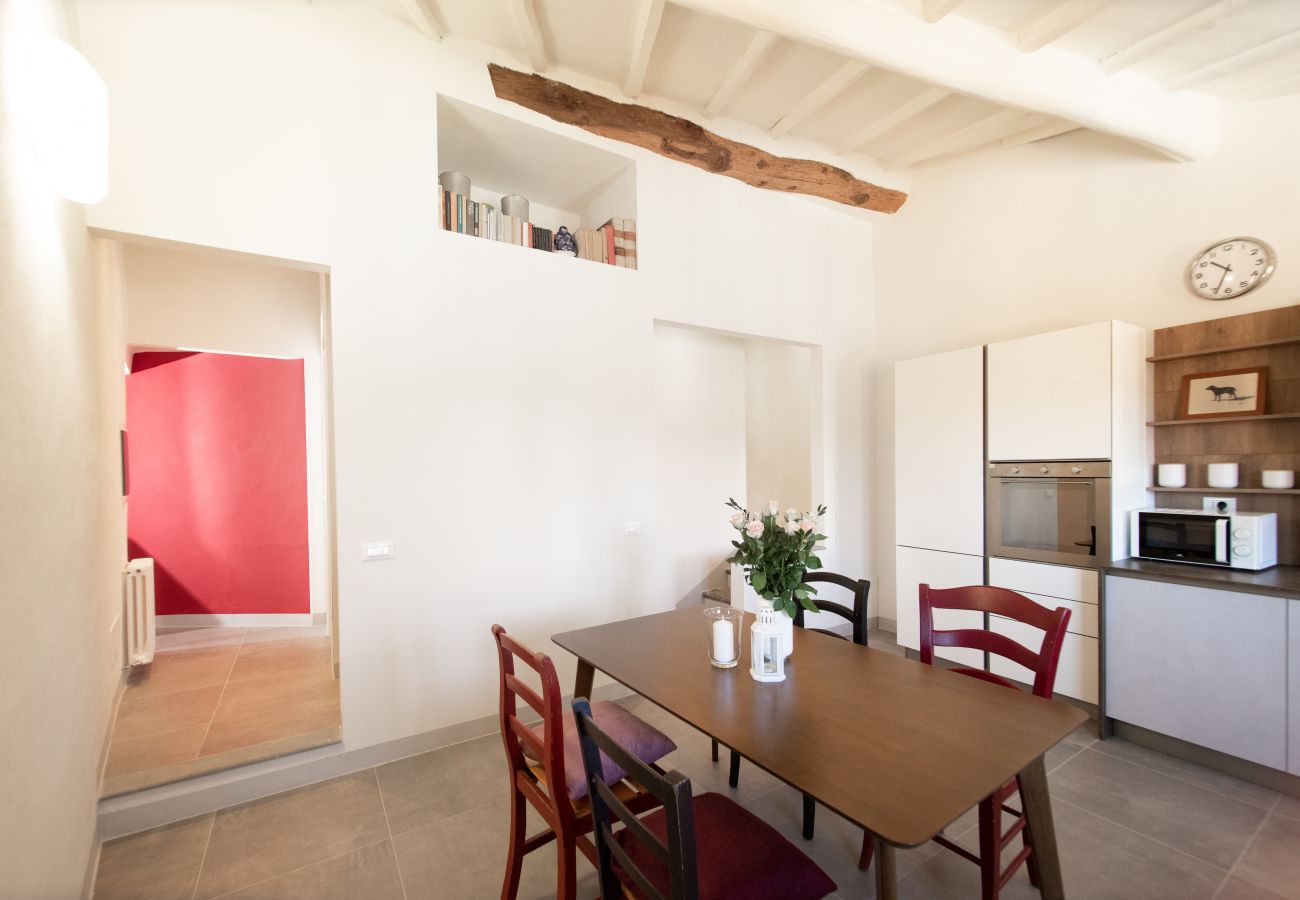 Apartment in Lucca - Casa Colette Cosy in Center Town