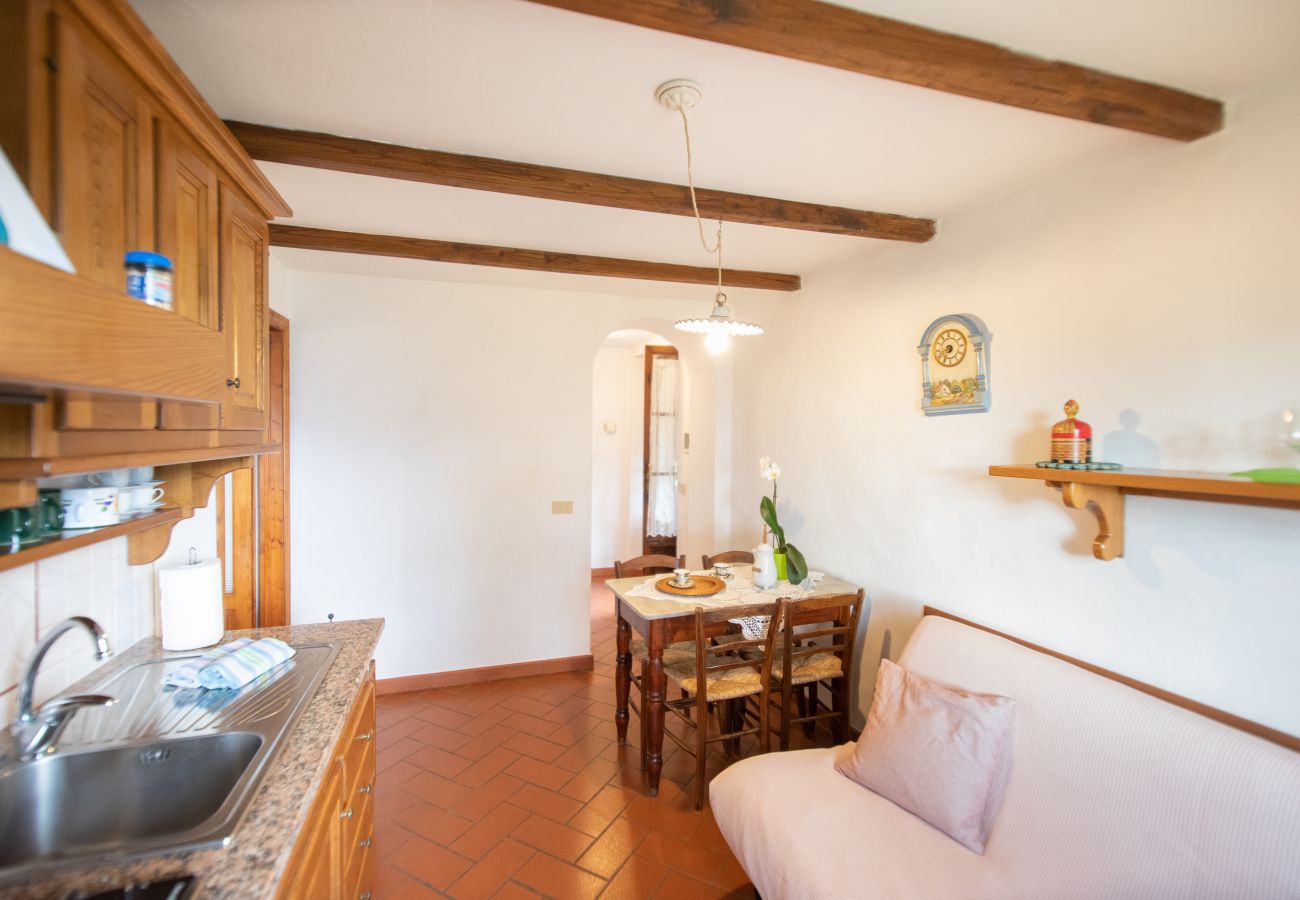 Apartamento en Borgo a Mozzano - Casetta di Butia, Iris apartment with  pool