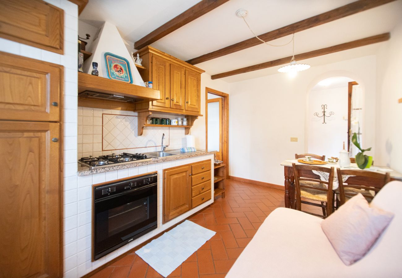 Apartamento en Borgo a Mozzano - Casetta di Butia, Iris apartment with  pool