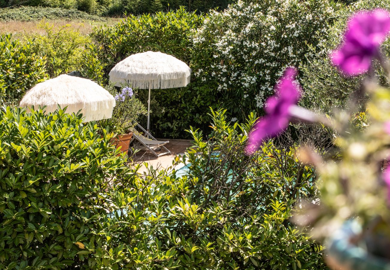 Appartement à Lucques - La Polla Apartment with Swimming Pool